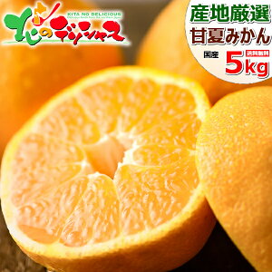 【出荷中】産地厳選 国産 甘夏 5kg 秀品蜜柑 柑橘類 みかん ミカン あまなつ アマナツ 甘夏みかん 甘夏ミカン 夏みかん ギフト 贈り物 贈答用 訳あり じゃない 人気 ランキング入賞 果物 フルーツ グルメ 送料無料 お取り寄せ