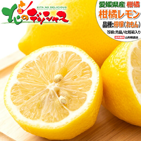 【予約】愛媛県産 ご家庭用 レモン (訳あり/常温便) 柑橘 柑橘類 れもん レモン 檸檬 3kg 5kg 10kg わけあり 訳あり ご自宅用 ご家庭用 おう...