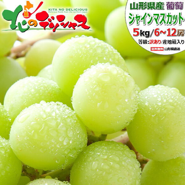 【出荷中】山形県産 ぶどう ご家庭用 シャインマスカット 5kg(6～12房入り) 旬 秋の味覚 ぶどう ブドウ 葡萄 シャインマスカット 訳あり 自宅用 家庭用 おうち用 お得 お値打ち 食べ放題 人気 果物 フルーツ 山形県 東青果卸 産地直送 送料無料 お取り寄せのサムネイル