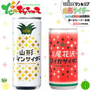 サン＆リブ 山形 サイダー 各種 1箱 30缶 山形食品株式会社 すいか スイカ 尾花沢すいか パイ ...