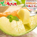 【予約】 山形県産 庄内砂丘メロン (秀品/青肉or赤肉/1玉 約1.5kg) 庄内 庄内メロン 砂丘メロン メロン 赤肉メロン 青肉メロン 1玉 2玉 夏ギフ...