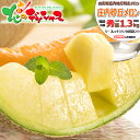 【出荷中】山形県産 庄内砂丘メロン (秀品/青肉or赤肉/1玉約1.3kg/常温便) 庄内 庄内メロン 砂丘メロン メロン 赤肉メロン 青肉メロン 1玉 2玉 ...