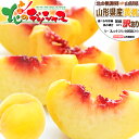 【予約】 山形県産 ご家庭用 黄桃 (有袋or無袋栽培/冷蔵便) わけあり 訳あり 北の桃源郷 北限の桃 おうとう もも モモ 桃 黄桃 黄金桃 ご自宅用 ご家...