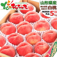 JA天童 山形県産 白桃 5kg (共選/秀品/12玉~18玉入り/クール冷蔵便) 北の桃源郷 北限の桃 はくとう もも 桃 白桃 夏ギフト 暑中見舞い 残暑見舞い 敬老の日 ギフト 贈り物 プレゼント おうち用 果物 フルーツ 山形県 産地直送 送料無料 お取り寄せ