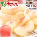 【予約】 山形県産 ご家庭用 白桃 (訳あり/冷蔵便) わけあり 北の桃源郷 北限の桃 はくとう もも モモ 桃 白桃 2kg 3kg 5kg ご自宅用 ご家庭...