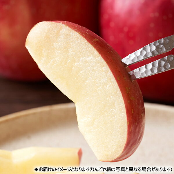 【予約】 山形県産 ご家庭用 りんご サンつがる (準秀品or訳あり/冷蔵便) 秋の味覚 林檎 リンゴ 5kg 10kg わけあり 訳あり ご自宅用 ご家庭用 おうち用 食べ放題 人気 売れ筋 果物 フルーツ 山形県 東根市 産地直送 送料無料 お取り寄せ
