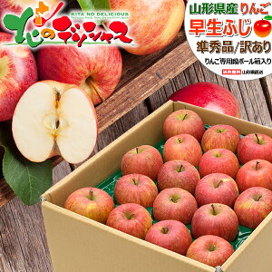 【終了間近】山形県産 ご家庭用 りんご 早生ふじ (準秀品or訳あり/常温便) 秋の味覚 林檎 リンゴ 青森県産 産地リレー 5kg 10kg わけあり 訳あり 自宅用 家庭用 おうち用 食べ放題 人気 売れ筋 果物 フルーツ 山形県 東根市 青果卸 産地直送 送料無料 お取り寄せ