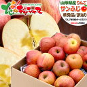 【順次出荷中】山形県産 ご家庭用 りんご サンふじ (準秀品/訳あり/常温便) 冬の味覚 ふじ リンゴ 林檎 5kg 10kg わけあり 自宅用 家庭用 おうち...