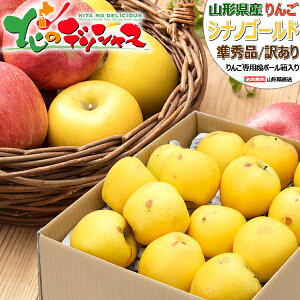 【出荷中】山形県産 ご家庭用 りんご シナノゴールド (準秀品/訳あり/常温便) 冬の味覚 ふじ リンゴ 林檎 5kg 10kg わけあり 自宅用 家庭用 おうち用 お得 お買い得 人気 売れ筋 果物 フルーツ 山形県 東根市 産地直送 送料無料 お取り寄せ