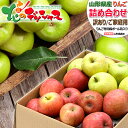 【予約】山形県産 ご家庭用 りんご サンふじ&王林 (訳あり/常温便) 冬の味覚 冬の果実 リンゴ 林檎 5kg 10kg わけあり 自宅用 家庭用 おうち用 ...