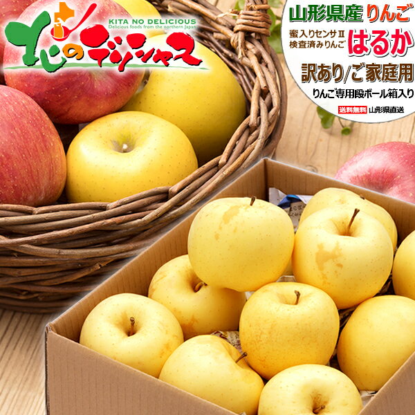 青森 りんご 10kg箱 訳あり/家庭用 サンふじ クール便対応