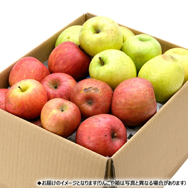 【予約】山形県産 ご家庭用 りんご サンふじ&王林 10kg (訳あり/26玉〜46玉入り)冬の味覚 林檎 リンゴ 青森県産 産地リレー わけあり 訳あり 自宅用 家庭用 おうち用 食べ放題 人気 売れ筋 果物 フルーツ 山形県 東根市 青果卸 産地直送 送料無料 お取り寄せ