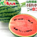 【出荷間近】山形県産 ご家庭用 小玉すいか 8kg箱 (良・優品/1箱 3玉~5玉入り) わけあり 訳あり 夏スイカ すいか スイカ 西瓜 小玉 小人数 小家族 自宅用 家庭用 おうち用 お得 食べ放題 果物 フルーツ 山形県 東根市 青果卸 産地直送 送料無料 お取り寄せ