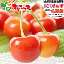 【予約】 山形県産 さくらんぼ 佐藤錦 500g (秀品/選べるサイズ/ばら詰め/化粧箱入り/常温便) 旬 サクランボ 初夏 夏ギフト お中元 ギフト 贈り物 ...