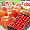 【予約】 山形県産 さくらんぼ 佐藤錦 500g (特秀品/選べるサイズ/手詰め/化粧箱入り/冷蔵便) 旬 サクランボ L 2L 父の日 遅れてごめんね ギフト...