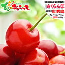 【予約】 山形県産 さくらんぼ 紅秀峰 700g (秀品/選べるサイズ/ばら詰め/350g×2p/化粧箱入り/冷蔵便) サクランボ Lサイズ 2Lサイズ 3Lサイズ お中元 ギフト 贈り物 贈答 お祝い お礼 プレゼント 果物 フルーツ 山形県 産地直送 送料無料 お取り寄せ