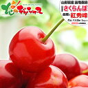 【予約】 山形県産 さくらんぼ 紅秀峰 1kg (秀品/選べるサイズ/ばら詰め/500g×2p/化粧箱入り/冷蔵便) サクランボ Lサイズ 2Lサイズ 3Lサイズ お中元 ギフト 贈り物 贈答 お祝い お礼 プレゼント 果物 フルーツ 山形県 産地直送 送料無料 お取り寄せ