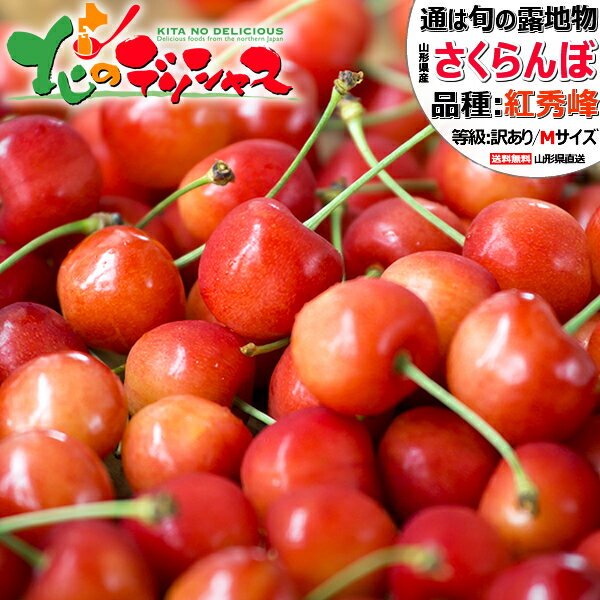 山形県産 ご家庭用 さくらんぼ 紅秀峰 1kg (訳あり/Mサイズ/ばら詰め/クール便) 旬 露地 わけあり サクランボ べにしゅうほう バラ詰め 自宅用 家庭用 おうち用 お得 最安値に挑戦 食べ放題 果物 フルーツ 山形県 東根市 産地直送 送料無料 お取り寄せ