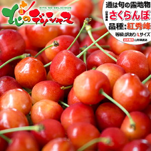 【予約】山形県産 訳あり さくらんぼ 紅秀峰 1kg (Lサイズ/ばら詰め) 露地 1.0kg わけあり サクランボ べにしゅうほう バラ詰め 自宅用 家庭用 おうち用 甘い 最安値に挑戦 食べ放題 果物 フルーツ 山形県 東根市 産地直送 送料無料 お取り寄せ