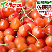 山形県産 訳あり さくらんぼ 佐藤錦or紅秀峰 1kg (露地栽培/Mサイズ/ばら詰め)わけあり バラ詰め サクランボ 自宅用 家庭用 おうち用 お得 お値打ち 食べ放題 人気 食用 生食 果物 フルーツ 山形県 東根市 青果卸 産地直送 お取り寄せ