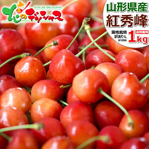 【予約/1箱でも送料無料】山形県産 訳あり 中玉 さくらんぼ 紅秀峰 1kg (露地栽培/Lサイズ/ばら詰め) わけあり バラ詰め サクランボ 自宅用 家庭用 おうち用 お得 お値打ち 食べ放題 人気 食用 生食 果物 フルーツ 山形県 東根市 青果卸 産地直送 お取り寄せ