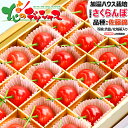 6月8日(日)まで指定日OK 山形県産 さくらんぼ 佐藤錦 (秀品/選べるサイズ/24粒/化粧箱) 2025 初夏 旬 ギフト 贈り物 贈答 お祝い お礼 お返し 内祝い プレゼント さとうにしき サクランボ 山形県 果物 フルーツ 山形県 産地直送 送料無料 お取り寄せ