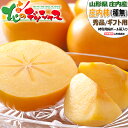 【予約】山形県産 庄内柿 (秀品/ギフト用) 秋の味覚 柿 かき カキ しょうないかき 山形県 庄内地方 3kg 5kg 7.5kg 冬ギフト お歳暮 ギフト 贈り物 贈答 お祝 お礼 お返し 内祝い プレゼント 人気 果物 フルーツ 山形県 産地直送 送料無料 お取り寄せ