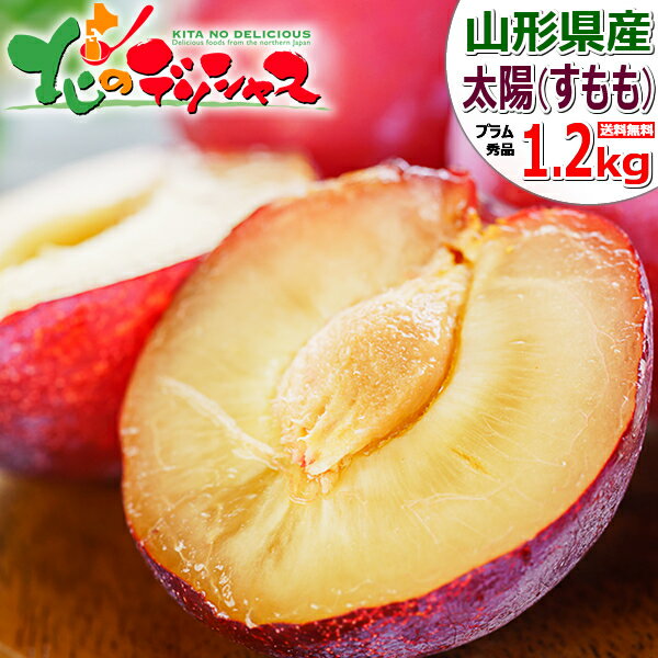 【予約】山形県産 プラム 太陽 1.2kg (秀品/6玉～11玉入り) 夏の味覚 プラム すもも スモモ 日本すもも たいよう 太…