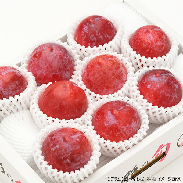 レッドラズベリー トッツィーポップス 30 ポップス Red Raspberry Tootsie Pops 30 Pops