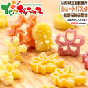 山形県 玉谷製麺所 ショートパスタ 箱売り 山形県 話題 人気 パスタ ショートパスタ アートパスタ 麺 乾麺 ギフト プチギフト 贈り物 お祝 内祝 プレゼン...