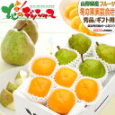 【予約】山形県産 冬の果実 2色詰め合わせ Aセット ラ・フランス&庄内柿 (秀品/ギフト用) 秋の味覚 西洋梨 柿 2kg 3kg 5kg 冬ギフト お歳暮 ...