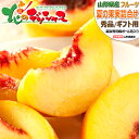 【予約】 山形県産 山形の果実 2色詰め合わせ 3kg Bセット (秀品/黄桃&シャインマスカットor和梨or西洋梨) 黄桃 シャインマスカット 和梨 西洋梨 ...