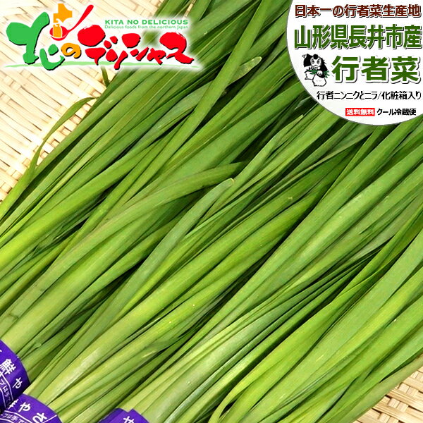 【出荷中】山形県産 長井市 行者菜 野菜 長井市産 特産品 行者ニンニク×ニラ 行者菜生産グループ 800g 1.2kg 2.4kg 滋養強壮 スタミナ抜群 硫化アリル 季節限定 人気 北海道 送料無料 お取り寄せグルメ【出荷場:山形県H】