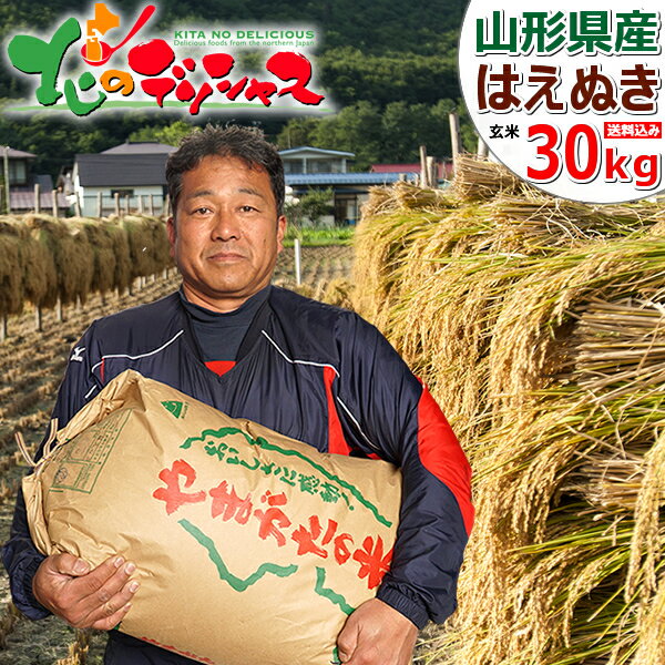 【出荷中】山形県産 滝口さんのおいしいお米 はえぬき 30kg(令和2年産/玄米) ...