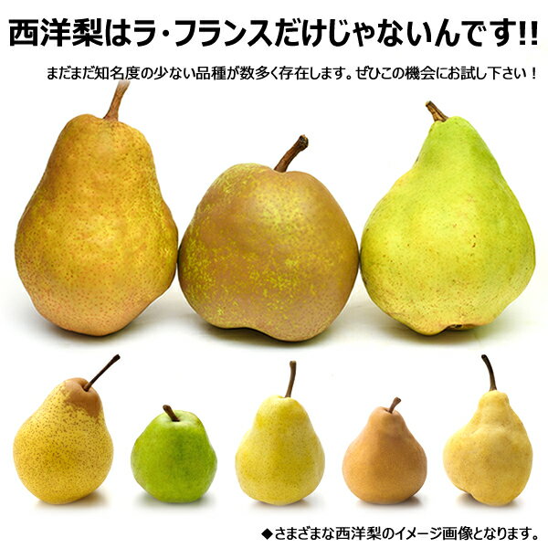 山形県産 西洋梨 エルドラド 5kg 山形県 西洋梨 果物 フルーツ お取り寄せ