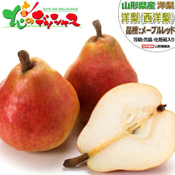 【出荷間近】山形県産 西洋梨 メープルレッド (秀品) 旬 秋の味覚 洋梨 追熟 食べ頃 2kg 5kg ギフト 贈り物 贈答 プレゼント お礼 お返し お祝い 内祝い 果物 フルーツ 人気 売れ筋 山形県 東根市 青果卸 産地直送 送料無料 お取り寄せのサムネイル