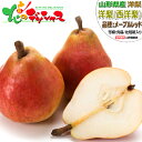 【出荷中】山形県産 西洋梨 メープルレッド (秀品) 旬 秋の味覚 洋梨 追熟 食べ頃 2kg 5kg ギフト 贈り物 贈答 プレゼント お礼 お返し お祝い 内祝い 果物 フルーツ 人気 売れ筋 山形県 東根市 青果卸 産地直送 送料無料 お取り寄せ