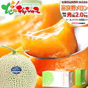 敬老の日 北海道産 富良野メロン (JA共撰/秀品/サイズ:1玉 2.0kg/大玉) お届け日時指定OK 熨斗OK JAふらの ふらのメロン 赤肉 夏ギフト 残暑見舞い 敬老の日 ギフト 贈り物 贈答 お祝い お礼 お返し 内祝い プレゼント 果物 フルーツ 北海道 送料無料 お取り寄せ
