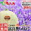 【予約/指定日不可】 ご家庭用 富良野メロン 8kg(訳あり/4玉〜7玉入り)【北海道メロン/ふらのメロン/赤肉/赤肉メロン/R113/R113u/北海道産/富良野産/自宅用/家庭用/訳あり/人気/売れ筋/ランキング/果物/フルーツ/北海道/送料無料/お取り寄せ】