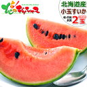 【出荷中】北海道産 小玉スイカ 2玉 (共撰/等級:優品・秀品/サイズ:1玉 2〜3kg) フルーツ 果物 甘い 小玉 小玉すいか すいか スイカ 西瓜 お中元...