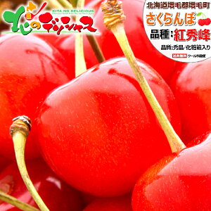 ͽۤ渵 ե ̳ƻ Į  Ƚ (/2Lʾ/ͤ/Ȣ/) ե롼  600g 1kg 渵 渫 £ʪ £ ˤ  ֤ ץ쥼 ͵  ʪ ̳ƻ ̵ 