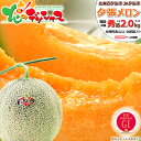 【予約】 お中元 北海道産 夕張メロン (共撰 秀品/1玉 2.0kg/冷蔵便) JA夕張市 地理的表示認定 GI 1玉 2玉 3玉 4玉 赤肉メロン 夏ギフト お中元 暑中見舞い ギフト 贈り物 お祝い 内祝い ご家庭用 北海道 果物 フルーツ 北海道直送 送料無料 お取り寄せ