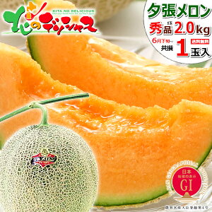 【予約】お中元 ギフト 北海道産 夕張メロン 1玉 (共撰/秀品/1玉 2.0kg) フルーツ 大玉 メロン 赤肉メロン JA夕張市 地理的表示認定 GI 夏ギフト 暑中見舞い 残暑見舞い 贈り物 プレゼント 季節限定 通販 人気 北海道 送料無料 お取り寄せグルメ