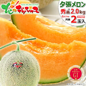 【予約】お中元 ギフト 北海道産 夕張メロン 2玉 (共撰/秀品/1玉 2.0kg) フルーツ 大玉 メロン 赤肉メロン JA夕張市 地理的表示認定 GI 夏ギフト 残暑見舞い 贈り物 プレゼント 季節限定 通販 人気 北海道 送料無料 お取り寄せグルメ