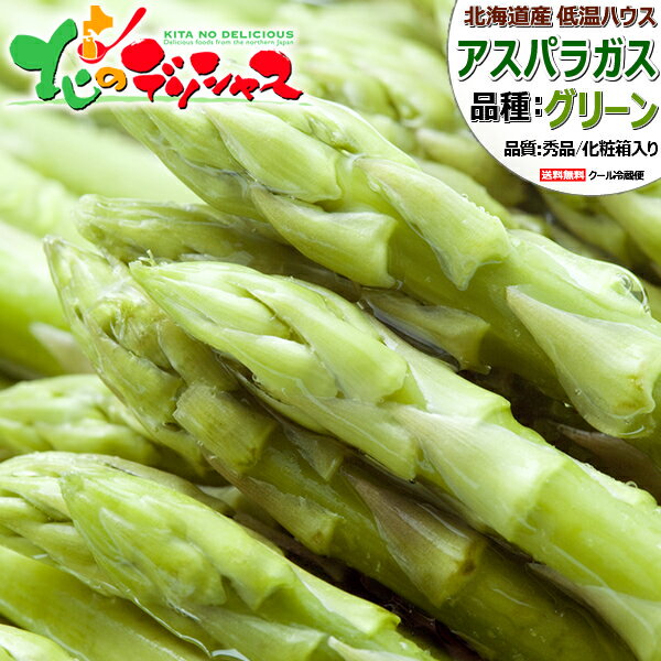 ͽ۽渫 ե ̳ƻ ꡼󥢥ѥ (ϥ/L-2L) ѥ Хѥ ꡼󥢥ѥ饬 600g...