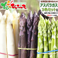 【連日出荷中】北海道産 アスパラ 3色セット 900g (各300g入り/冷蔵品)春の味覚 北...