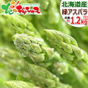 アスパラガス ハウス栽培 北海道富良野産 グリーンアスパラ 極太 2Lサイズ 2kg 日時指定不可