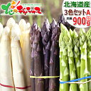 【出荷中】北海道産 アスパラガス 3色セットA 900g (S-2Lサイズ) 春の味覚 北海道アスパラ アスパラ グリーン ホワイト パープル ギフト 贈り物 プレゼント 自宅用 家庭用 野菜 人気 グルメ おうちグルメ 北海道 送料無料 お取り寄せグルメ