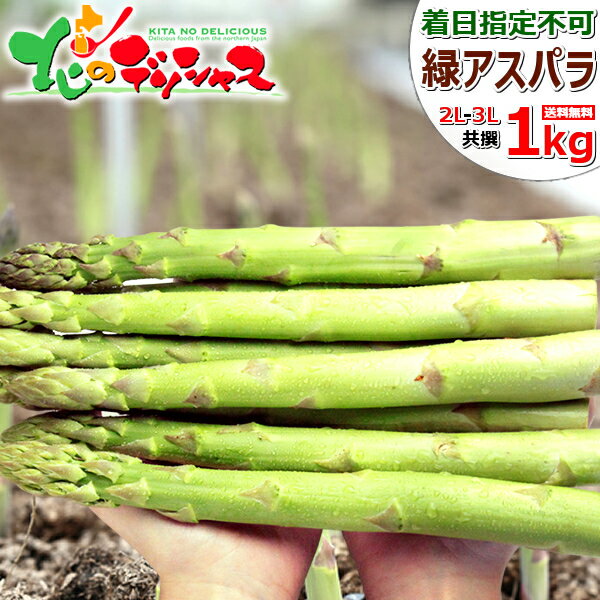 【連日出荷中/お届け日指定不可】北海道産 ご家庭用 グリーンアスパラ 1kg 2L～3Lサイズ/冷蔵品 春の味覚 北海道アスパラ あすぱら アスパラガス グリーンアスパラ ホワイトアスパラ パープル…