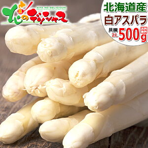 【予約】北海道産 アスパラガス ホワイトアスパラ 500g (2L-3Lサイズ) 春の味覚 特大 極太 北海道アスパラ アスパラ 白アスパラ ホワイトアスパラガス ギフト 贈り物 プレゼント 自宅用 家庭用 野菜 グルメ おうちグルメ 北海道 送料無料 お取り寄せグルメ